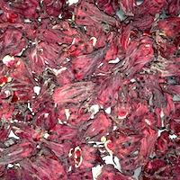 洛神花茶(50g) (季節限定商品)